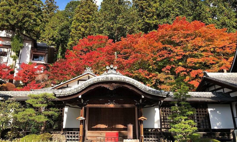 温泉寺までお散歩